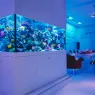 <a href='https://aquavip.by/izgotovlenie-akvariumov/' class='nolink'>Изготовление аквариумов</a>