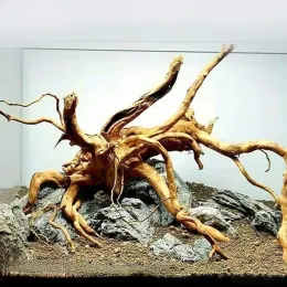 Коряга саванная Natural color 50-70 см. 1 кг